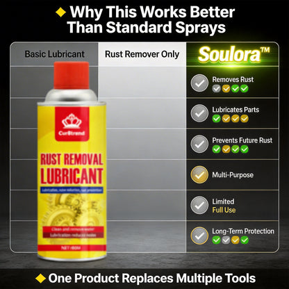 Rust Remover &amp; Anti-Rust Lubricant Spray