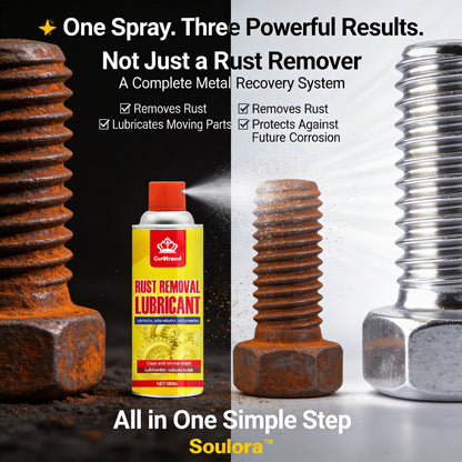 Rust Remover &amp; Anti-Rust Lubricant Spray